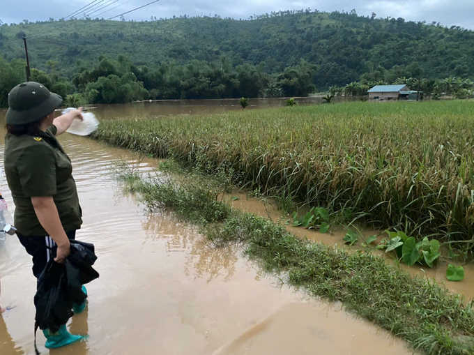 30ha đất vừa được khôi phục lại bị ngập trong bùn đất