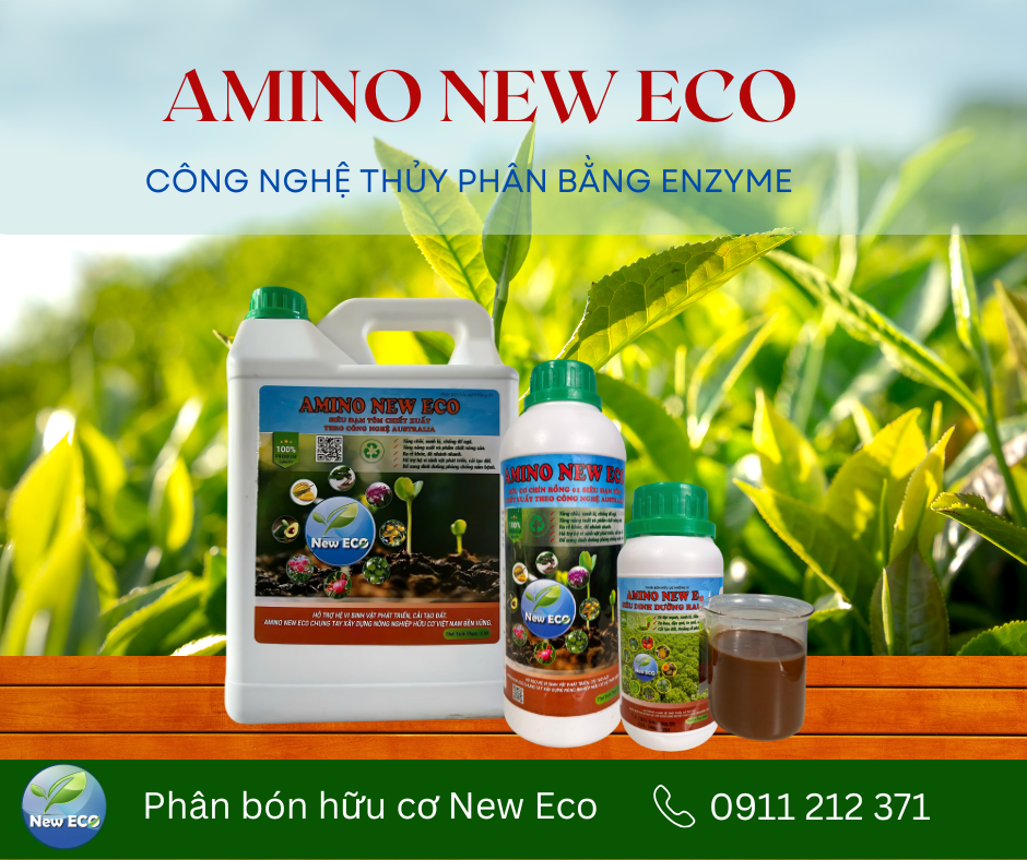 Amino NEWECO