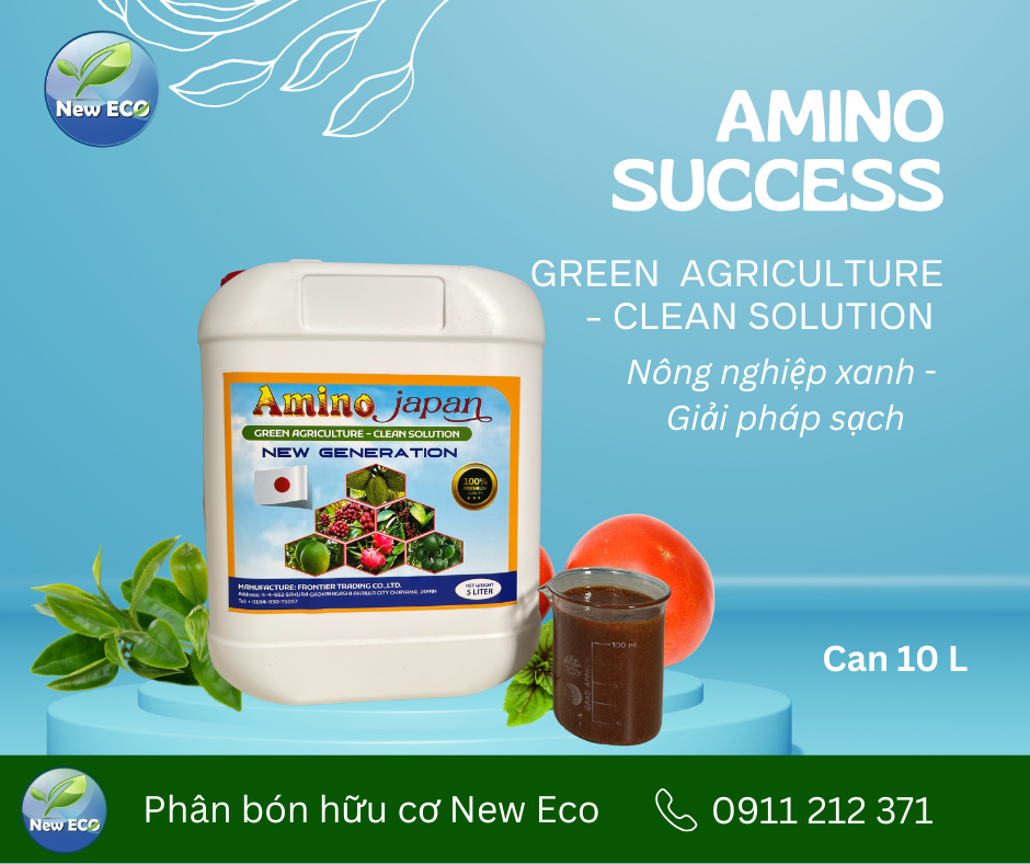 Phân bón Amino success can 10 L