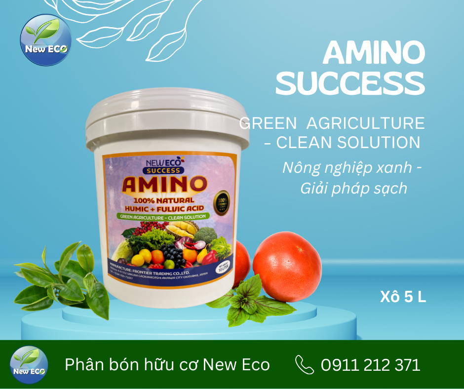 Phân bón Amino success