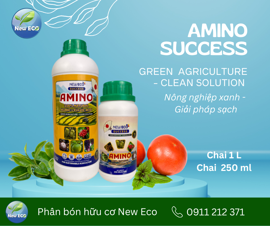 Amino success