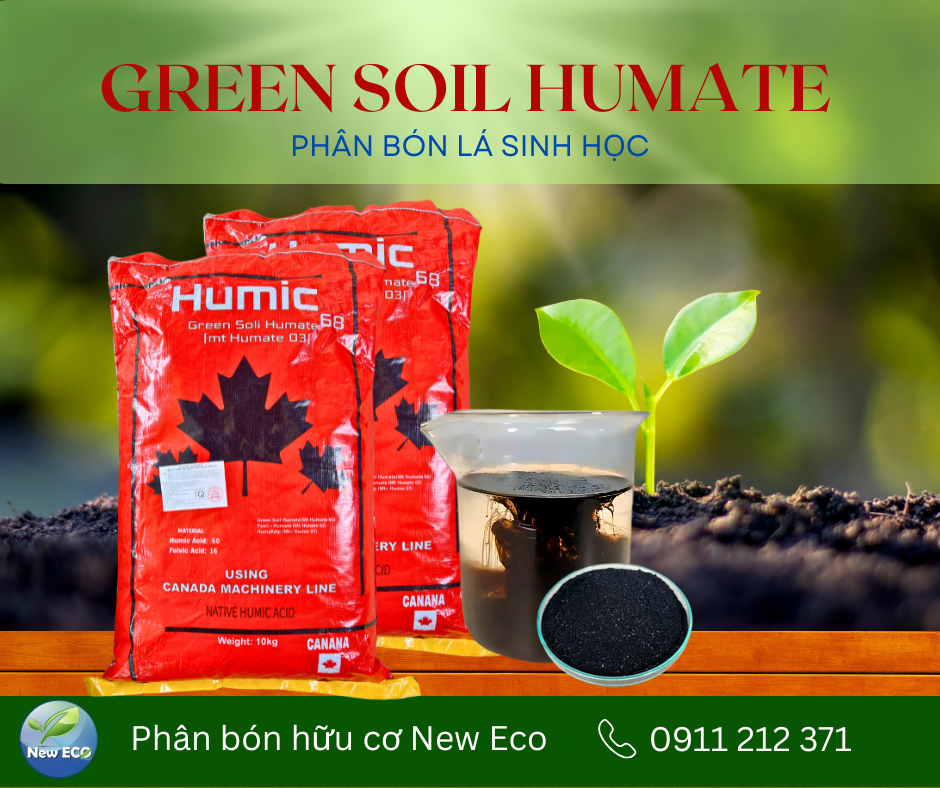 Phân bón Green Soil Humate