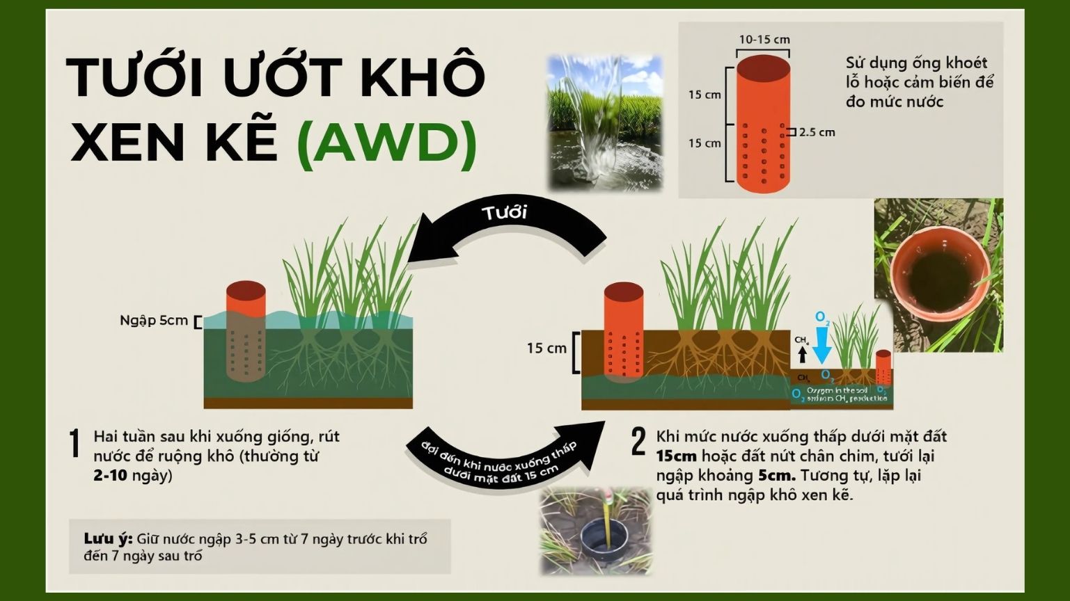 Kỹ thuật tưới ướt khô xen kẽ
