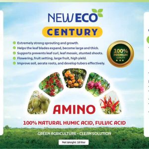 Amino century