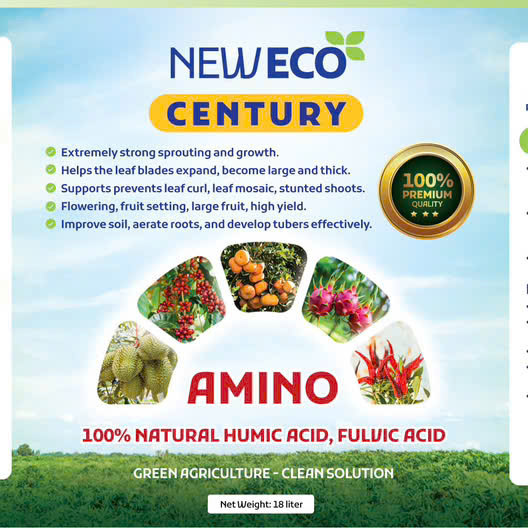 Amino century