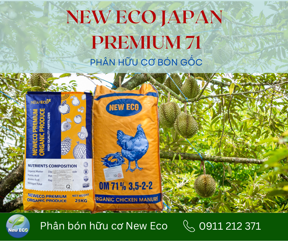NEW ECO JAPAN PREMIUM 71